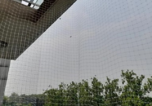 Large-span white bird netting installed across an outdoor opening